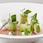 Metamorfosi - Roma