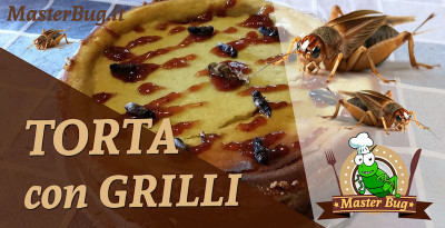 torta-grilli